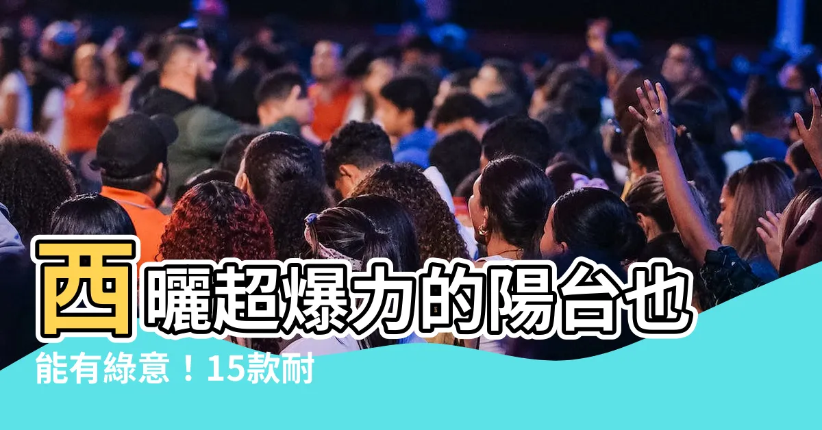 【西曬陽台觀葉植物】西曬超爆力的陽台也能有綠意！15款耐曬又好養的觀葉植物推薦