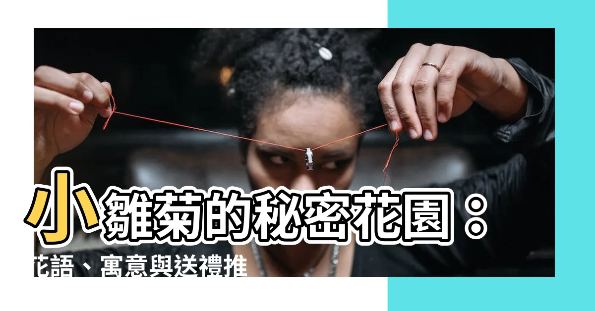 【小雛菊寓意】小雛菊的秘密花園：花語、寓意與送禮推薦