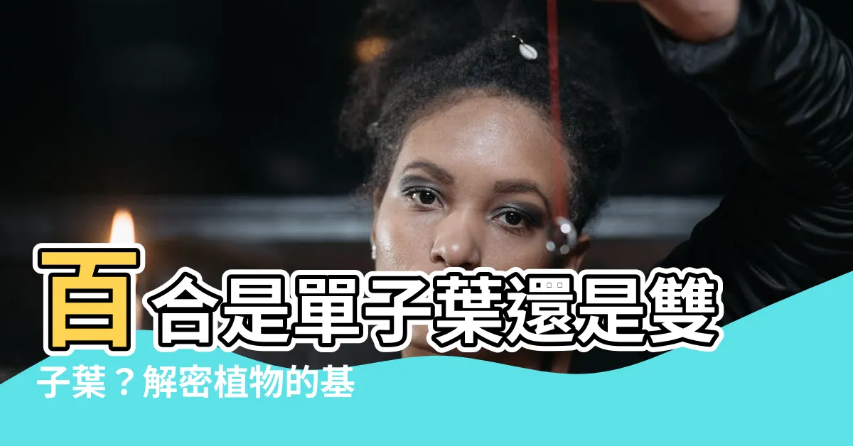 【百合是單子葉還是雙子葉】百合是單子葉還是雙子葉？解密植物的基本分類