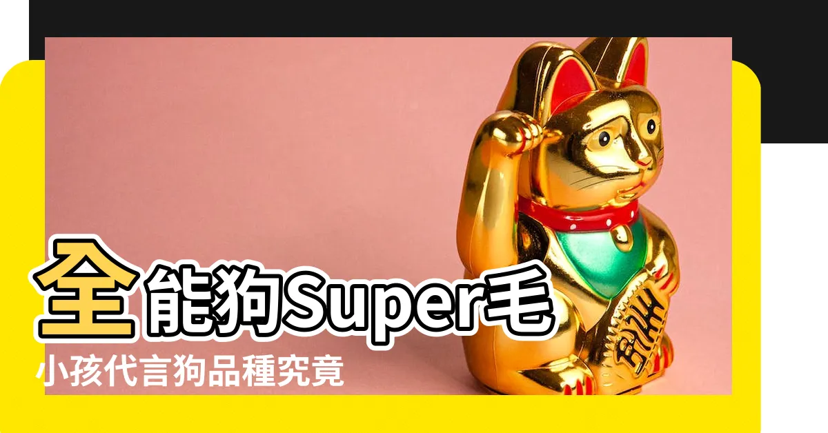 【全能狗s廣告狗品種】全能狗Super毛小孩代言狗品種究竟是誰？驚喜揭曉！