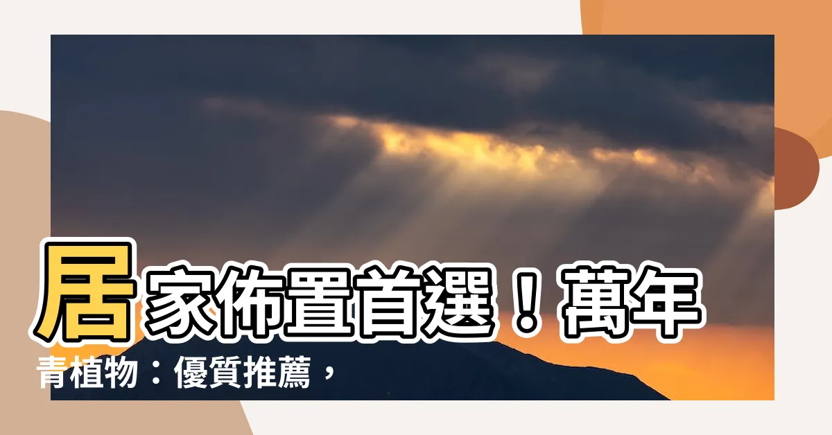 【萬年青植物】居家佈置首選！萬年青植物：優質推薦，綠意盎然