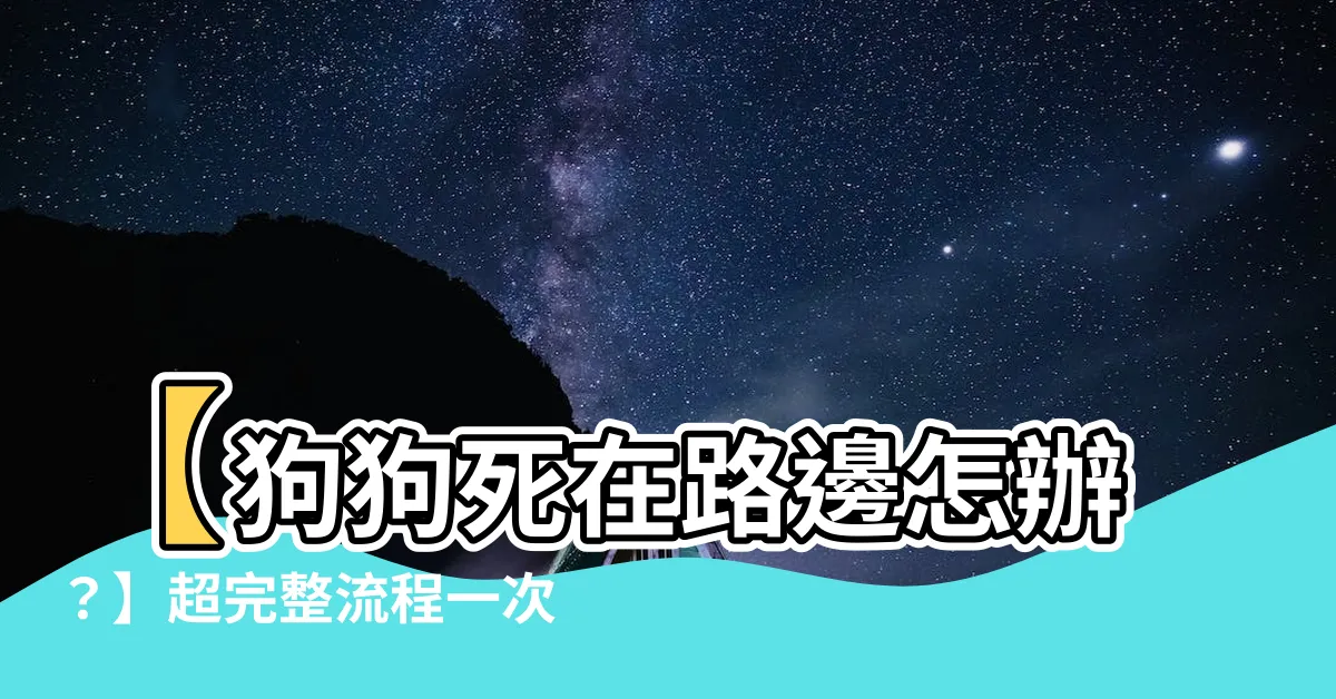 【狗狗死在路邊怎麼辦】【狗狗死在路邊怎辦？】超完整流程一次看！