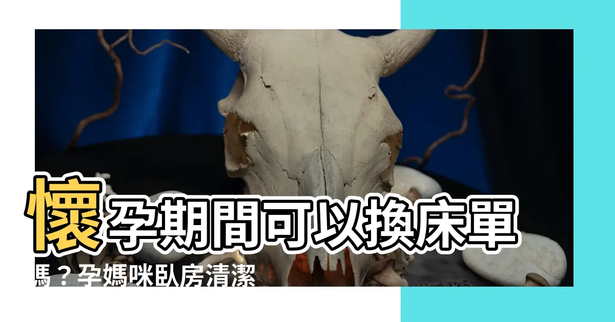 【懷孕期間可以換牀單嗎】懷孕期間可以換牀單嗎？孕媽咪卧房清潔密技大公開！