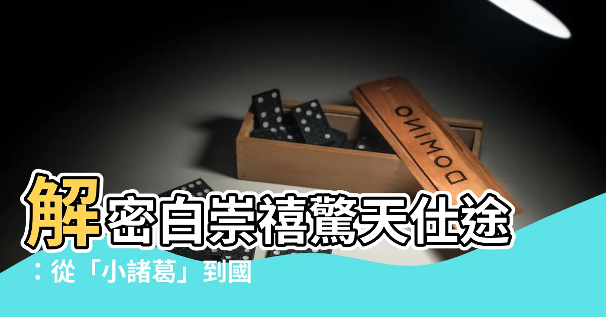 【白崇熙】解密白崇禧驚天仕途：從「小諸葛」到國防部長！