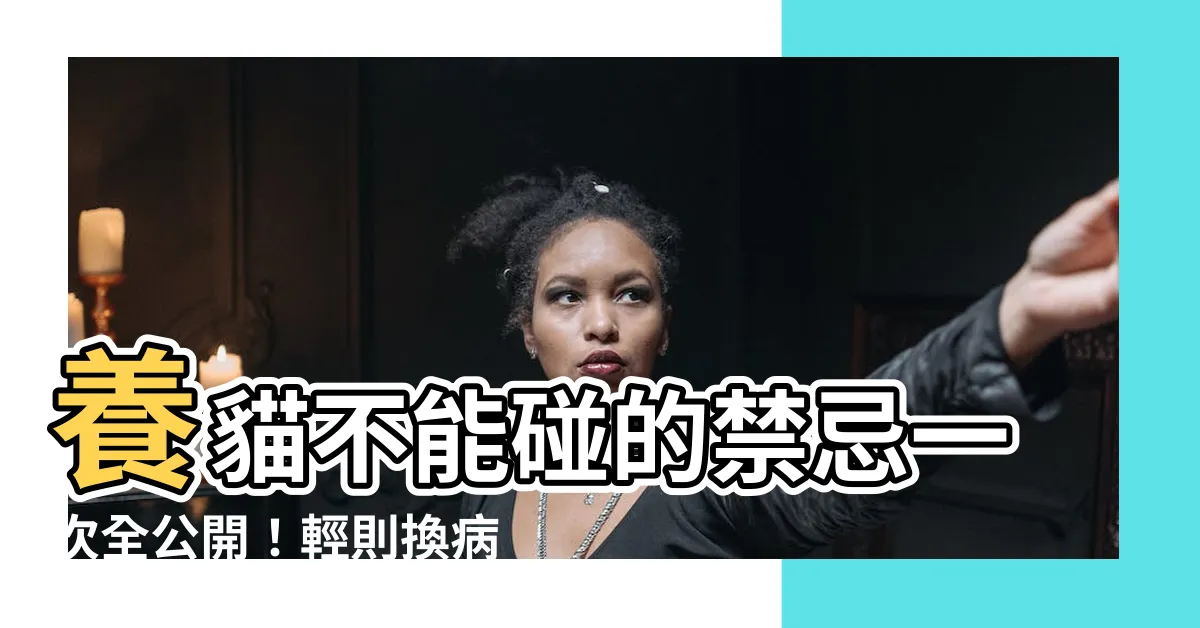 【養貓的禁忌】養貓不能碰的禁忌一次全公開！輕則換病、重則致命！
