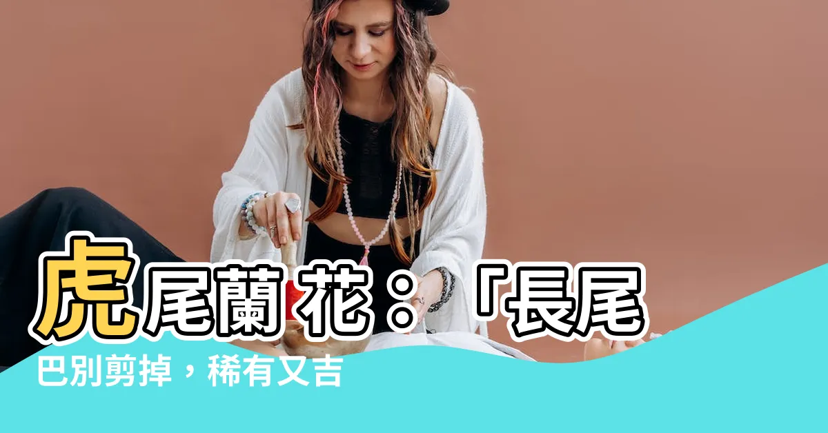 【虎尾蘭 花】虎尾蘭 花：「長尾巴別剪掉，稀有又吉利，要珍惜別搞錯了！」