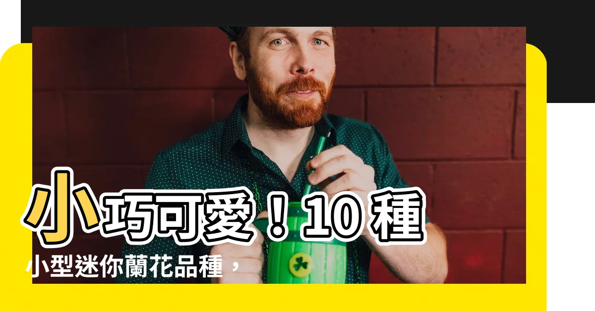 【小型迷你蘭花品種】小巧可愛！10 種小型迷你蘭花品種，輕鬆養出迷人花海
