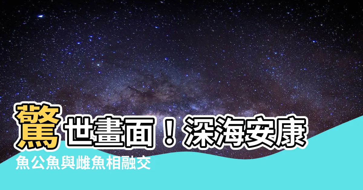 【安康魚公魚】驚世畫面！深海安康魚公魚與雌魚相融交配首度公開