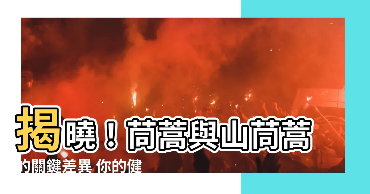 【山筒嵩】揭曉！茼蒿與山茼蒿的關鍵差異 你的健康關鍵通通在這裡