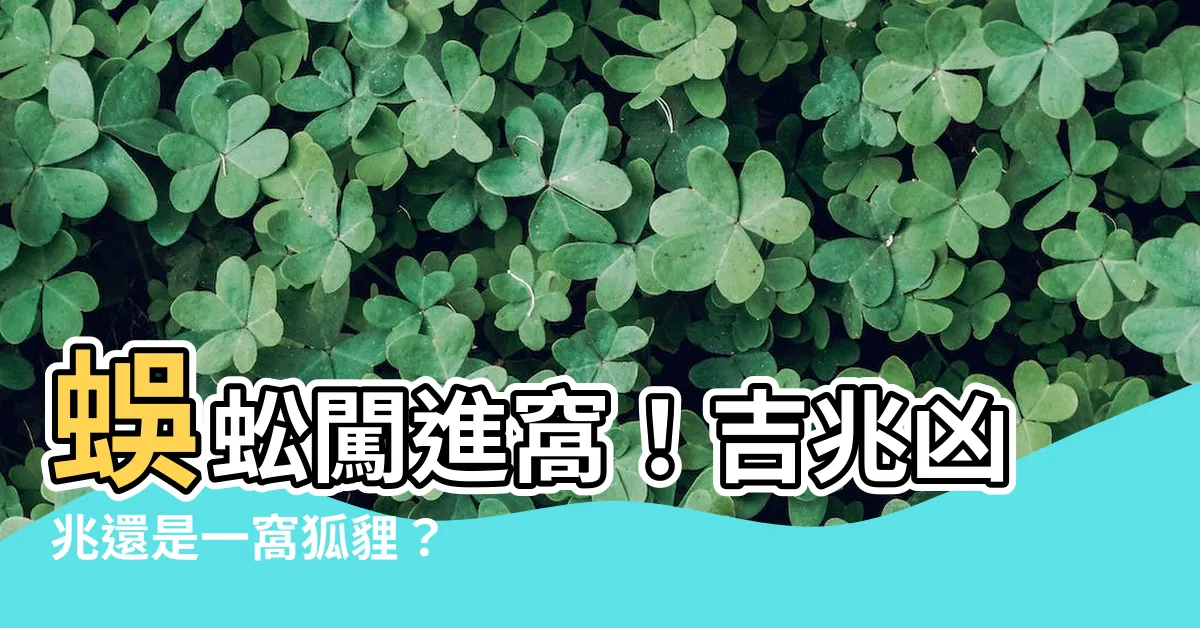 【蜈蚣跑到家裡】蜈蚣闖進窩！吉兆凶兆還是一窩狐貍？