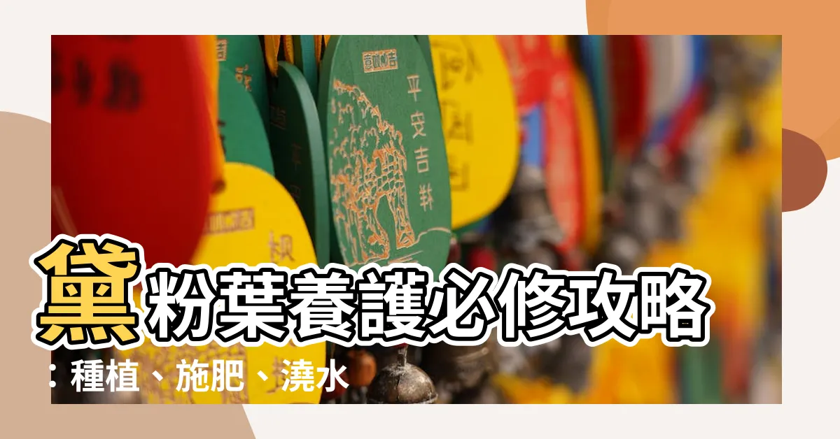 【黛粉葉照顧】黛粉葉養護必修攻略：種植、施肥、澆水、修剪一次搞定