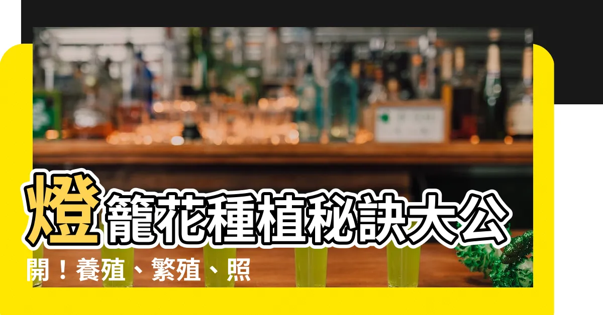 【燈籠花種植】燈籠花種植秘訣大公開！養殖、繁殖、照顧一次搞定