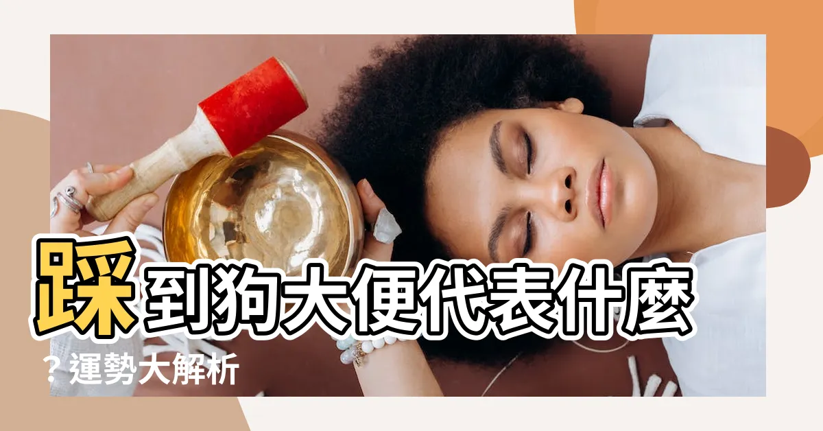 【踩到狗大便意思】踩到狗大便代表什麼？運勢大解析