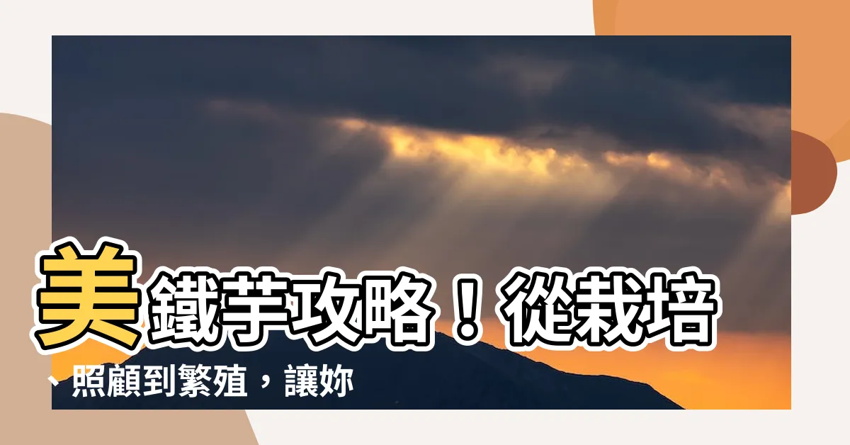 【美鐵芋繁殖】美鐵芋攻略！從栽培、照顧到繁殖，讓妳的金錢滿樹生生不息