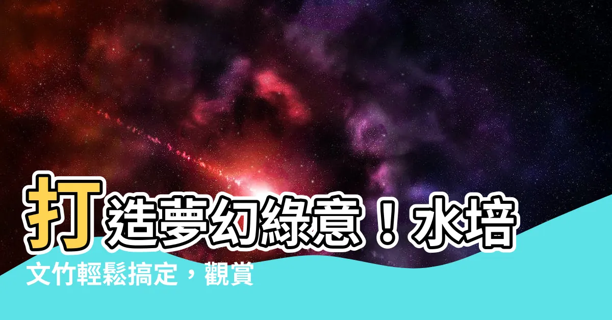 【水培文竹】打造夢幻綠意！水培文竹輕鬆搞定，觀賞度爆表！