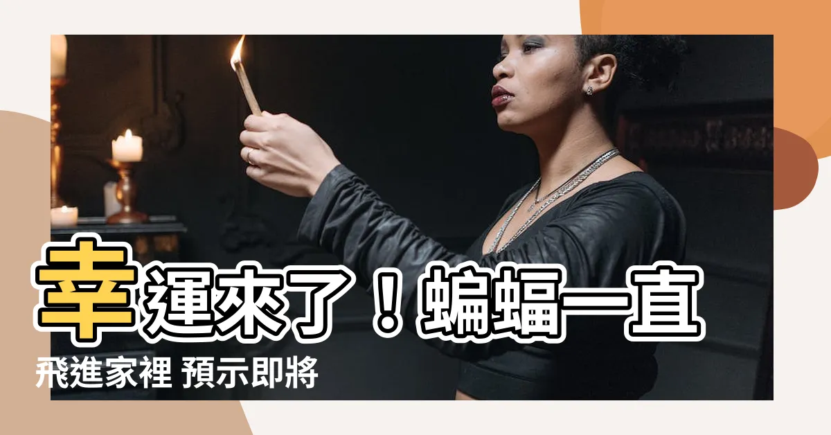 【蝙蝠一直飛進家裡】幸運來了！蝙蝠一直飛進家裡 預示即將財運亨通