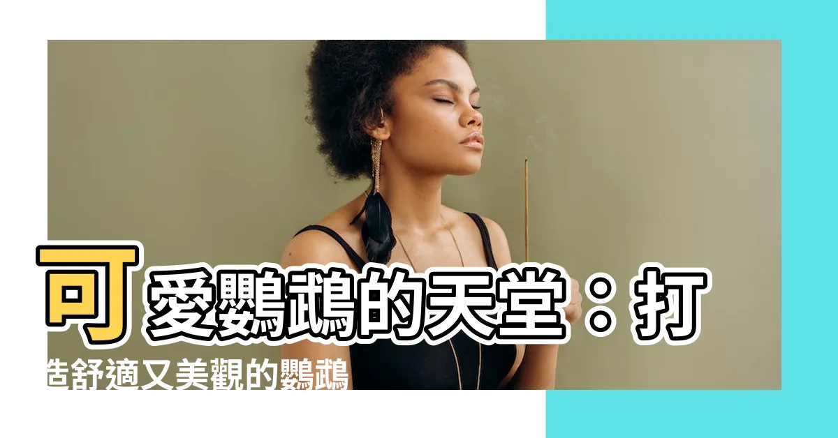 【鸚鵡籠佈置】可愛鸚鵡的天堂：打造舒適又美觀的鸚鵡籠佈置秘訣
