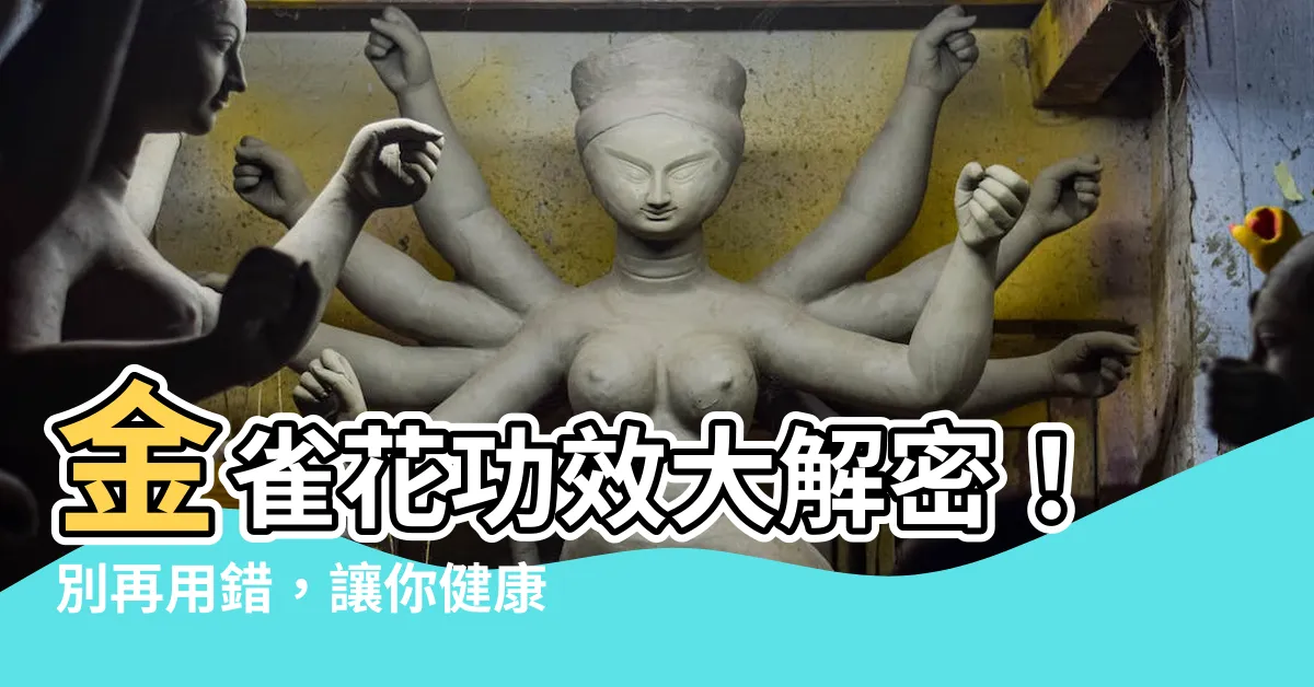 【金雀花功效】金雀花功效大解密！別再用錯，讓你健康一把罩
