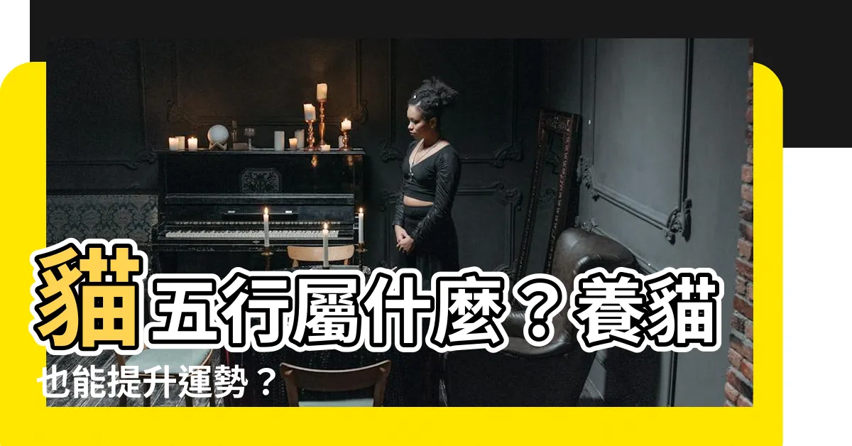 【貓五行屬什麼】貓五行屬什麼？養貓也能提升運勢？