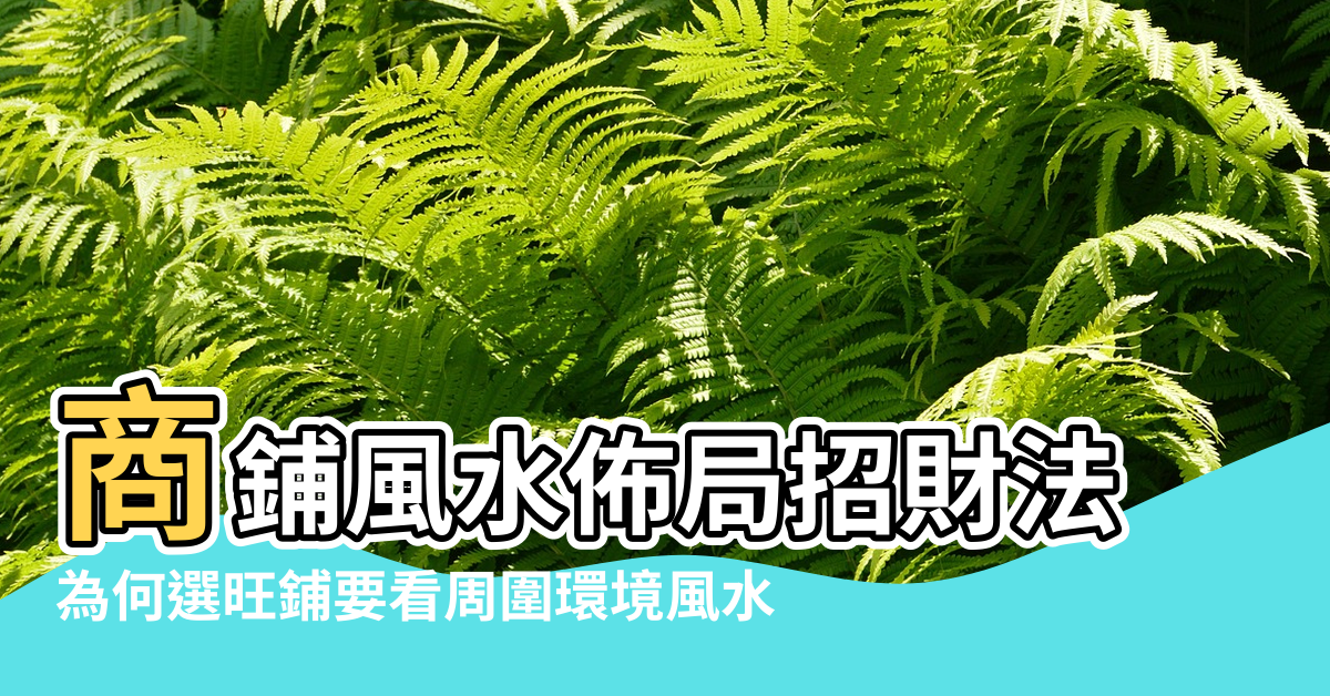 【商鋪門前鳥進宅風水學怎麼解釋】商鋪風水佈局招財法 |為何選旺鋪要看周圍環境風水 |余光大師談風水真諦 |