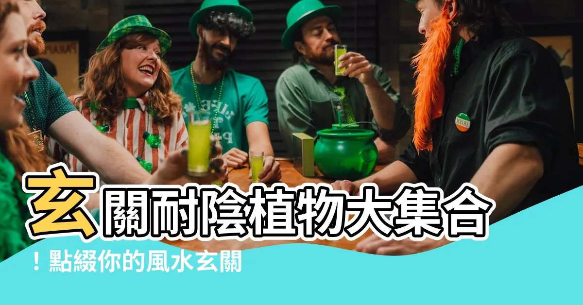 【玄關耐陰植物】玄關耐陰植物大集合！點綴你的風水玄關，打造好運源源不絕