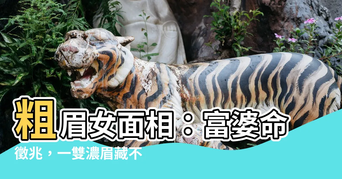 【粗眉女面相】粗眉女面相：富婆命徵兆，一雙濃眉藏不住的財氣！