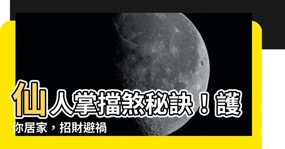 【仙人掌擋煞】仙人掌擋煞秘訣！護你居家，招財避禍