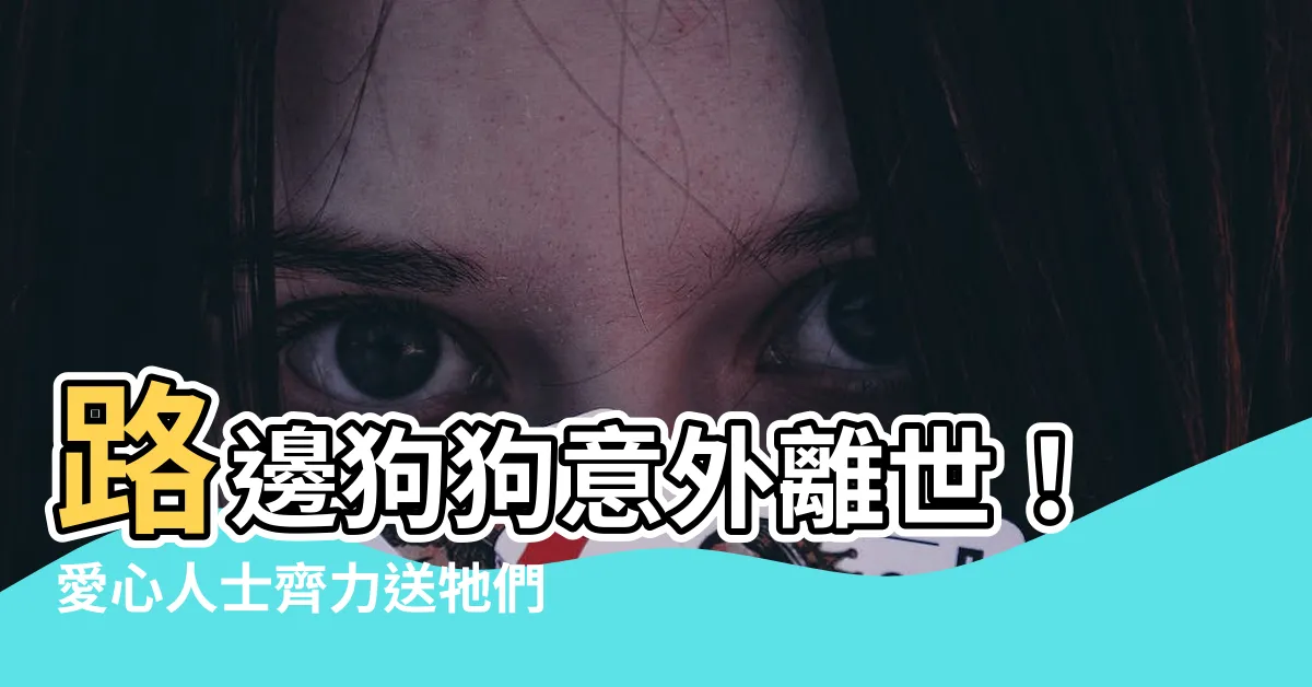 【路邊狗狗死掉】路邊狗狗意外離世！愛心人士齊力送牠們前往彩虹天堂
