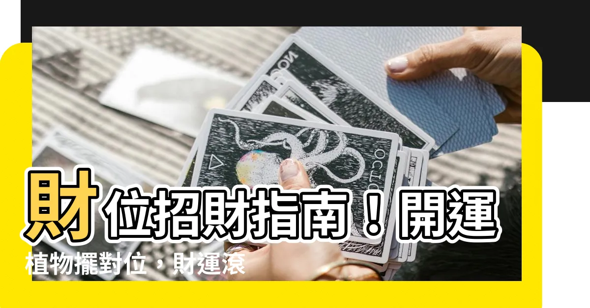 【財位招財植物風水】財位招財指南！開運植物擺對位，財運滾滾來