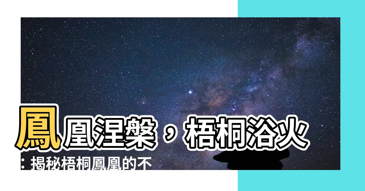 【梧桐鳳凰】鳳凰涅槃，梧桐浴火：揭秘梧桐鳳凰的不解之緣