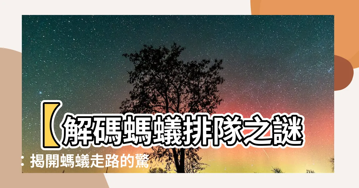 【螞蟻走路】【解碼螞蟻排隊之謎：揭開螞蟻走路的驚人奧秘！】
