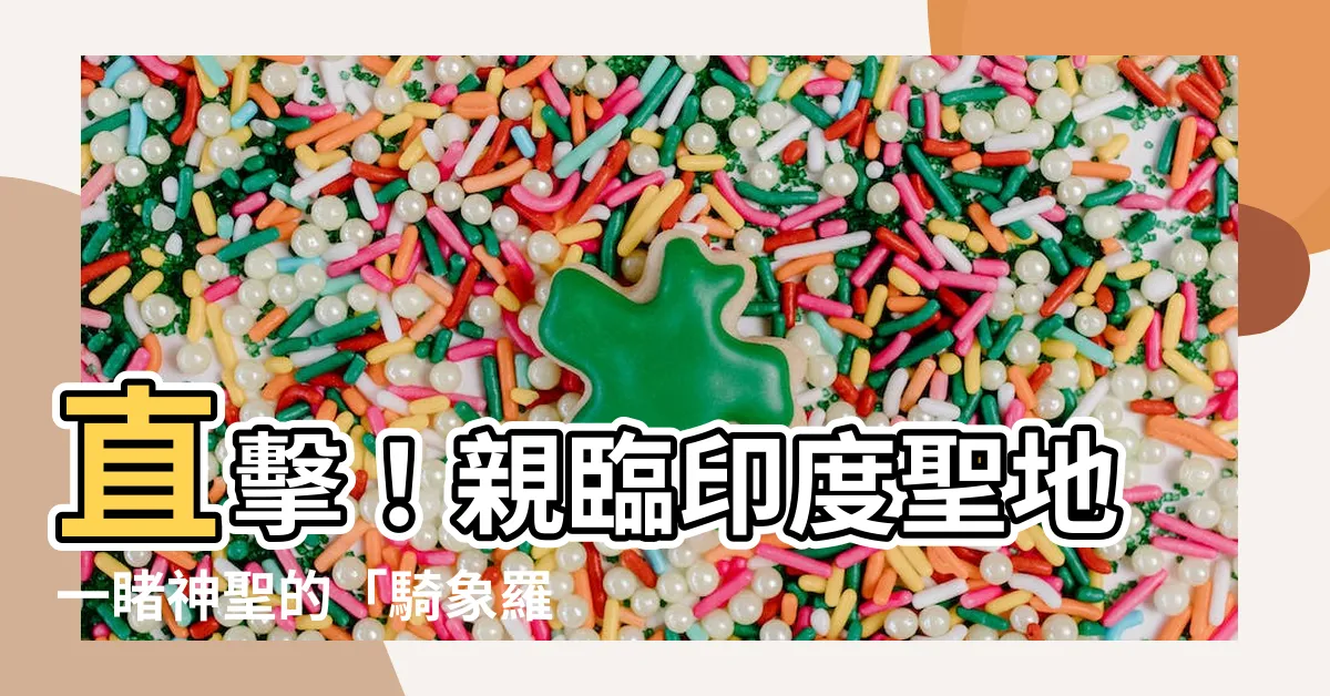 【騎象羅漢】直擊！親臨印度聖地一睹神聖的「騎象羅漢」真容
