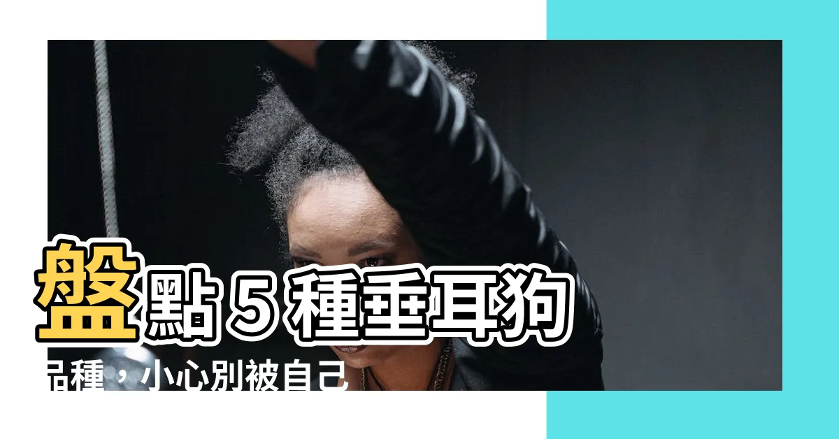 【垂耳狗品種】盤點 5 種垂耳狗品種，小心別被自己絆倒！