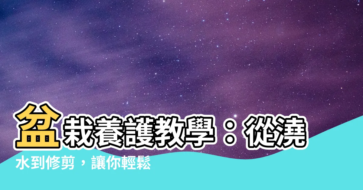 【種植教學】盆栽養護教學：從澆水到修剪，讓你輕鬆打造綠色居家