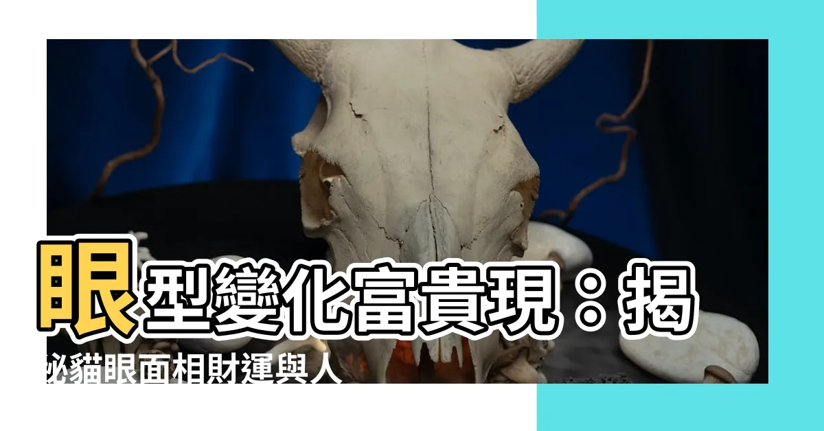 【貓眼面相】眼型變化富貴現：揭秘貓眼面相財運與人生
