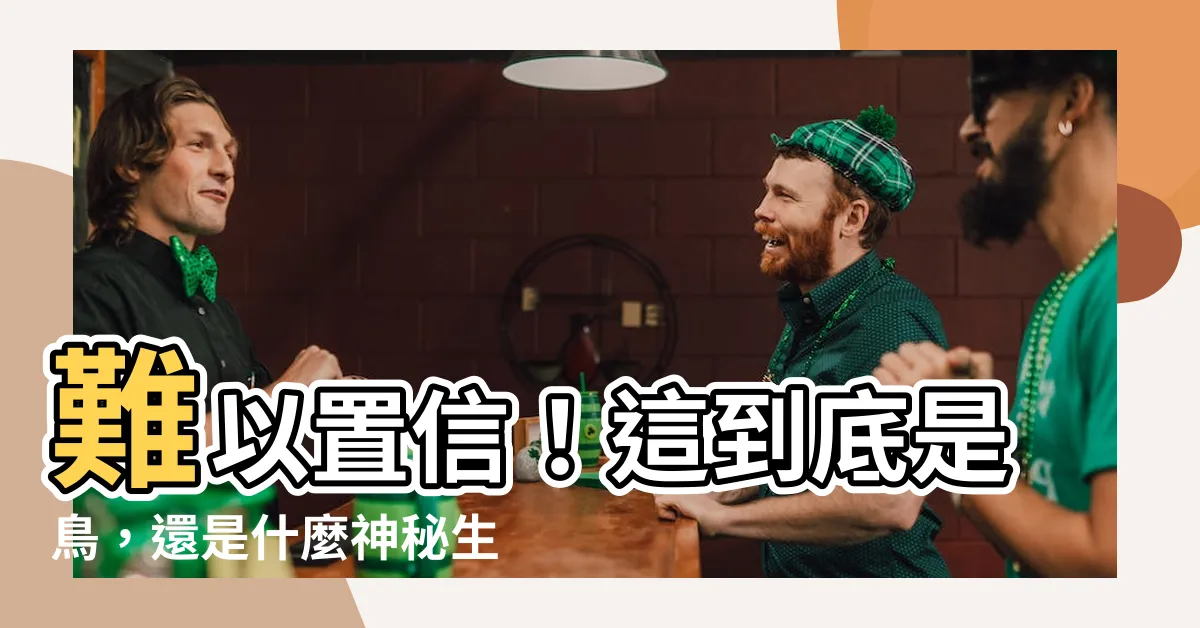 【這是鳥嗎】難以置信！這到底是鳥，還是什麼神秘生物？