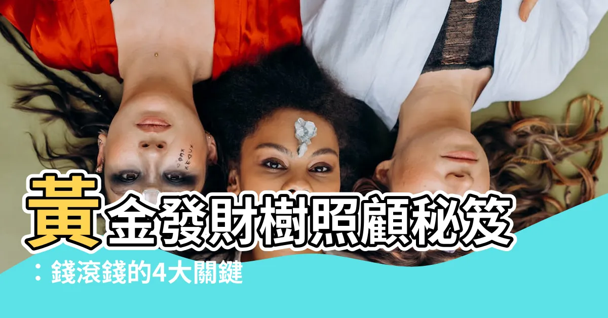 【金錢樹如何照顧】黃金發財樹照顧秘笈：錢滾錢的4大關鍵要點