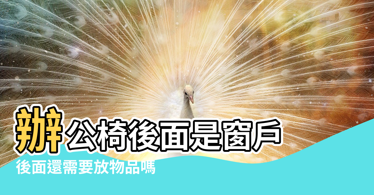 【靠背椅風水】辦公椅後面是窗戶 |後面還需要放物品嗎 |辦公椅有靠背 |