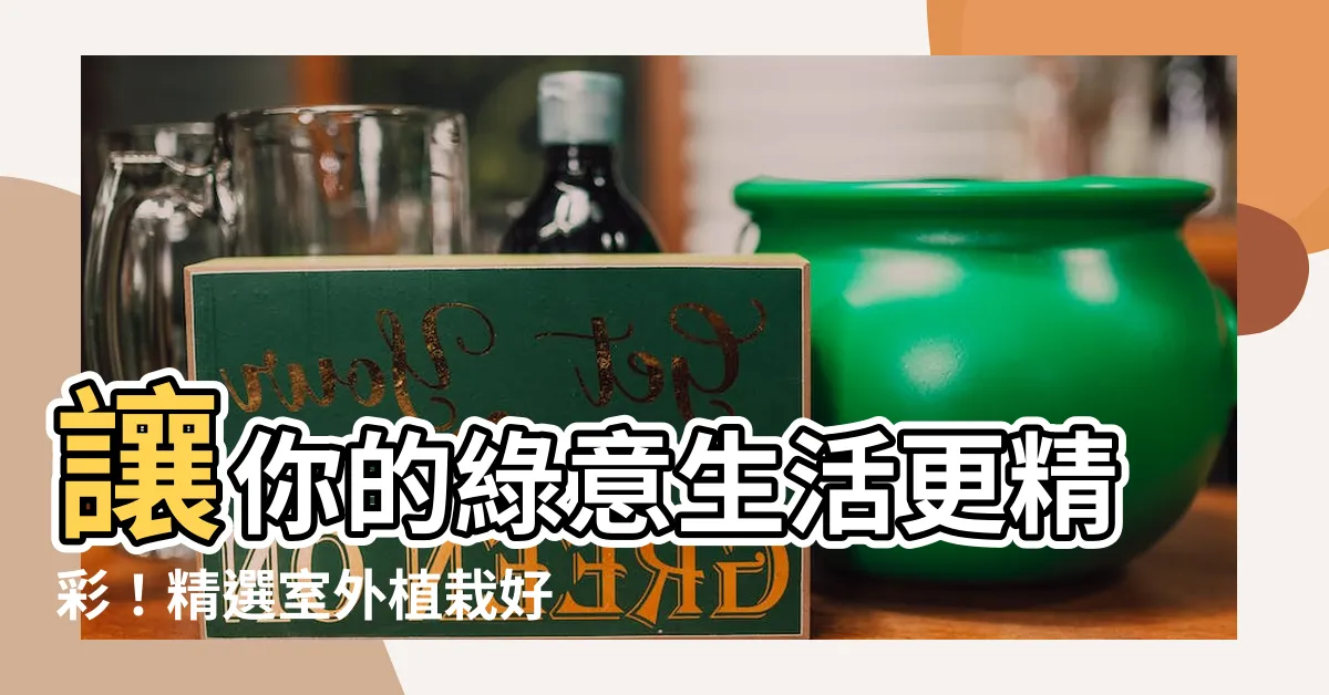 【室外植栽】讓你的綠意生活更精彩！精選室外植栽好物，打造專屬綠色天堂