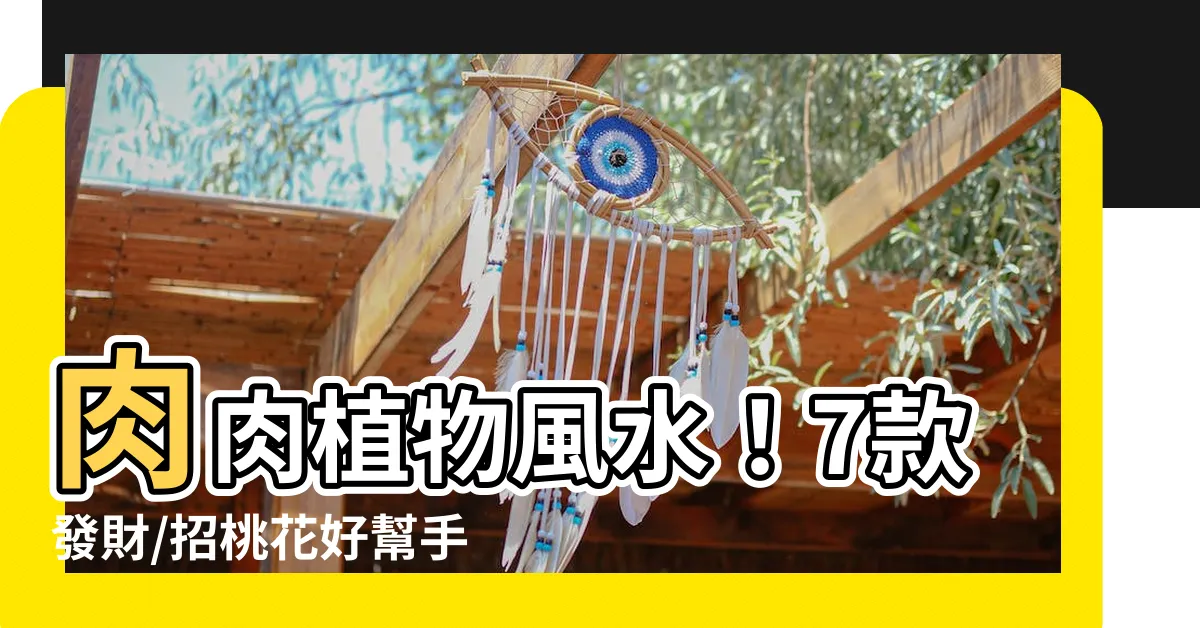 【肉肉植物風水】肉肉植物風水！7款發財/招桃花好幫手，錯過後悔莫及