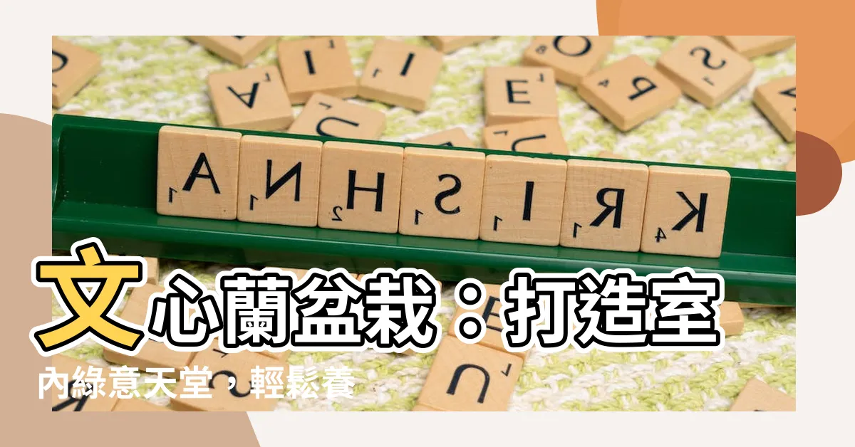 【文心蘭盆栽】文心蘭盆栽：打造室內綠意天堂，輕鬆養護指南