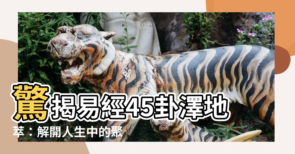 【易經45卦】驚揭易經45卦澤地萃：解開人生中的聚合與分離之謎