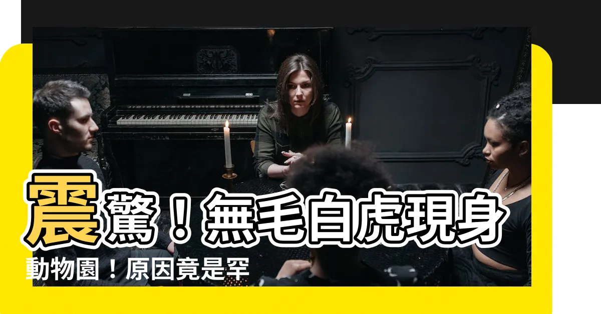 【無毛 白虎】震驚！無毛白虎現身動物園！原因竟是罕見無毛症