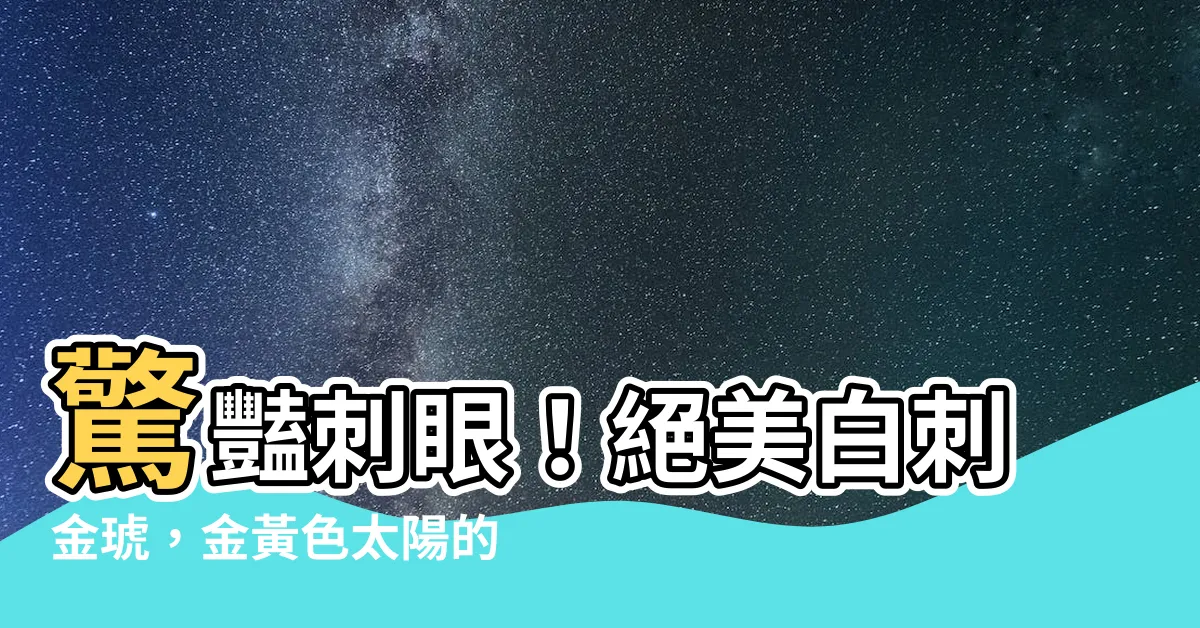 【白刺金琥】驚豔刺眼！絕美白刺金琥，金黃色太陽的耀眼光輝