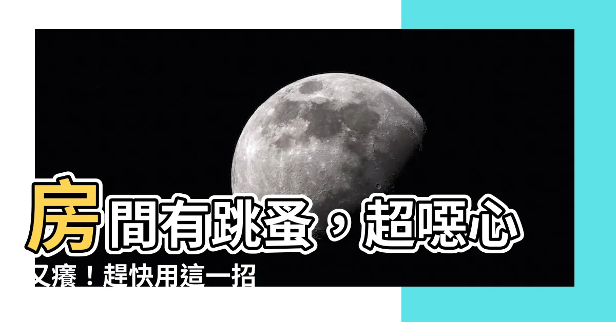 【房間有跳蚤】房間有跳蚤，超噁心又癢！趕快用這一招，跳蚤通通消失！