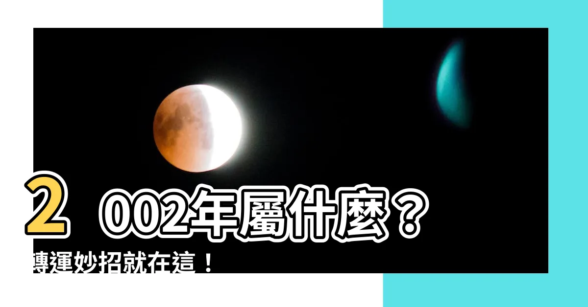 【2002什麼年】2002年屬什麼？轉運妙招就在這！