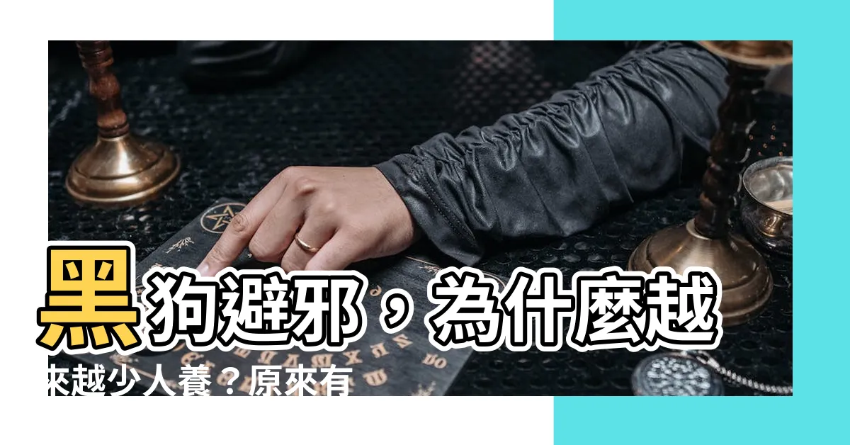 【黑狗避邪】黑狗避邪，為什麼越來越少人養？原來有這7個原因！