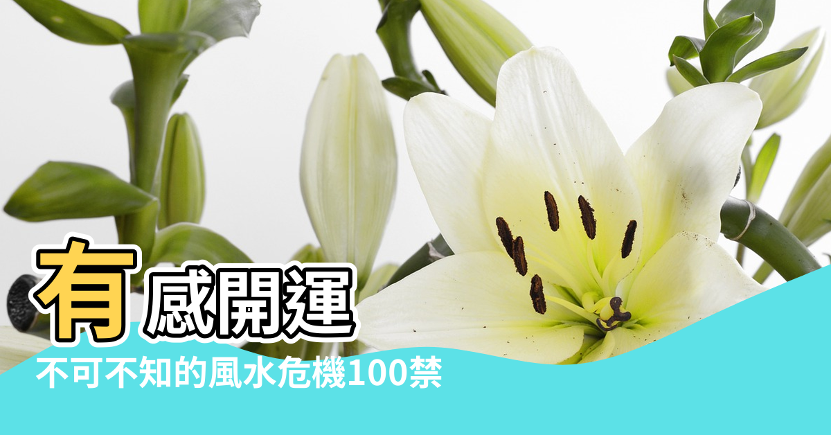 【風水一百】有感開運 |不可不知的風水危機100禁 |湯鎮瑋100種風水化煞絕招 |