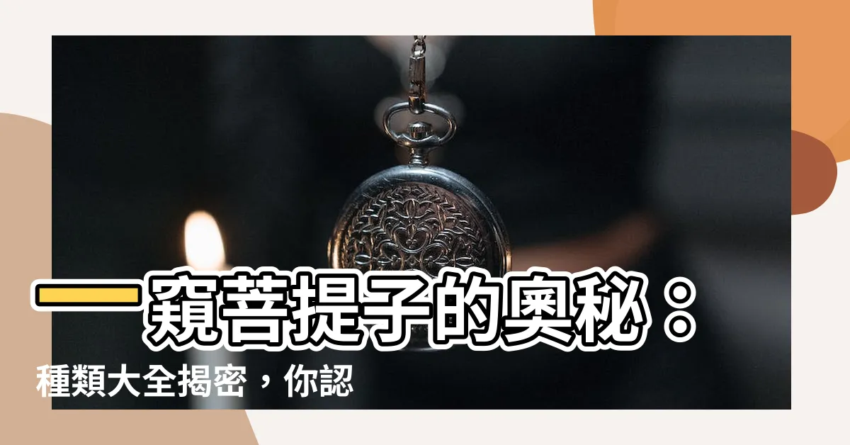 【菩提子的種類】一窺菩提子的奧秘：種類大全揭密，你認識幾種？