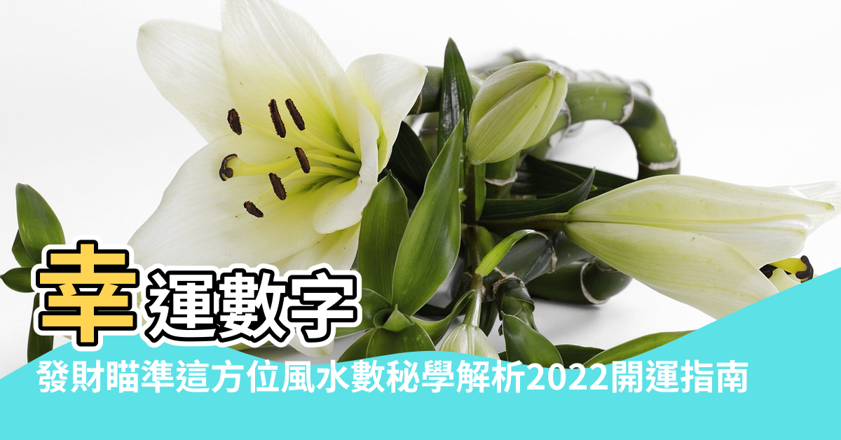 【風水6個好的幸運數字】幸運數字 |發財瞄準這方位風水數秘學解析2022開運指南 |幸運數是6 |